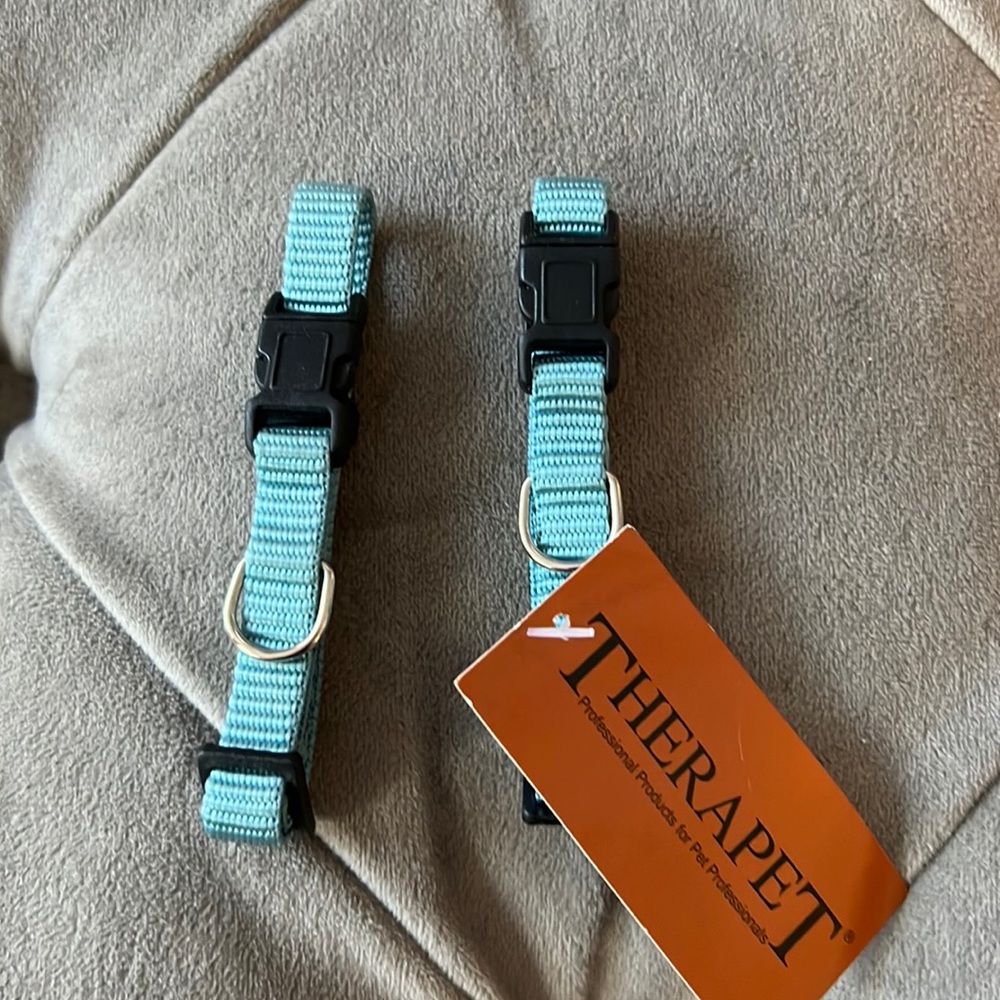 7-10” Adjustable Light Blue Dog or Cat Collar